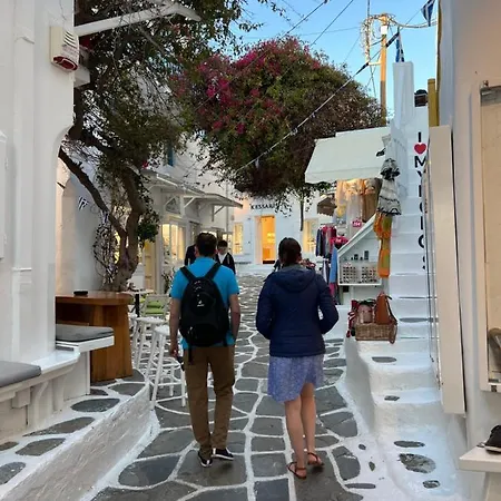 Mykonos Maison De George Daire